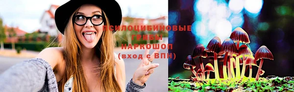 амф Нефтекумск