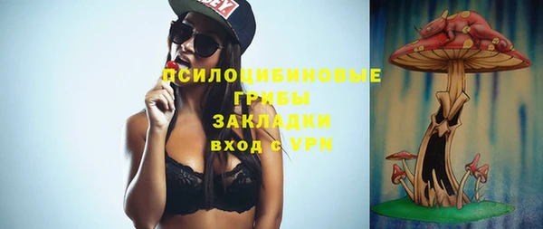 дурь Нея