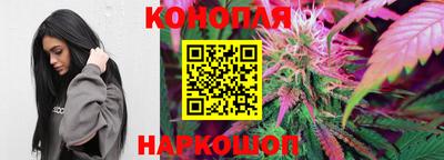 spice Партизанск