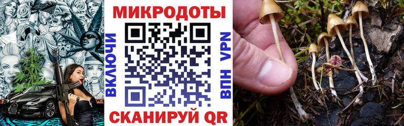 Псилоцибиновые грибы Psilocybe  наркотики  Янаул 