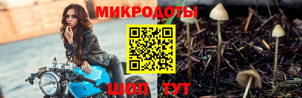 Псилоцибиновые грибы Magic Shrooms  Вход с VPN  Янаул 